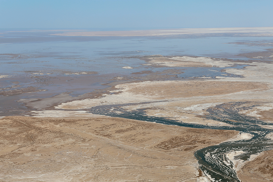 Colorado River Delta Flow Restoration