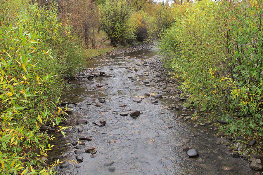 Cimarron River Flow Restoration