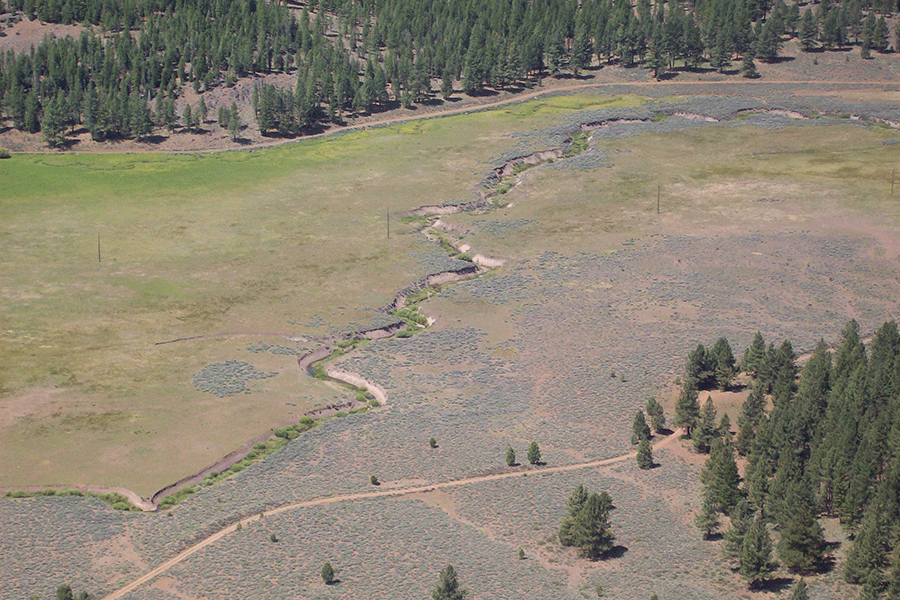 Upper Dotta Meadow Habitat Restoration