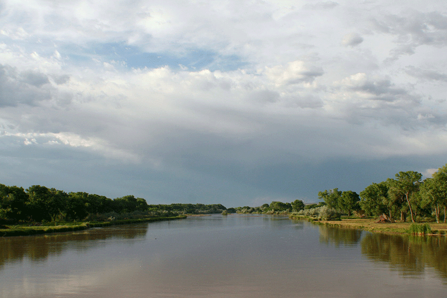 Middle Rio Grande Flow Restoration