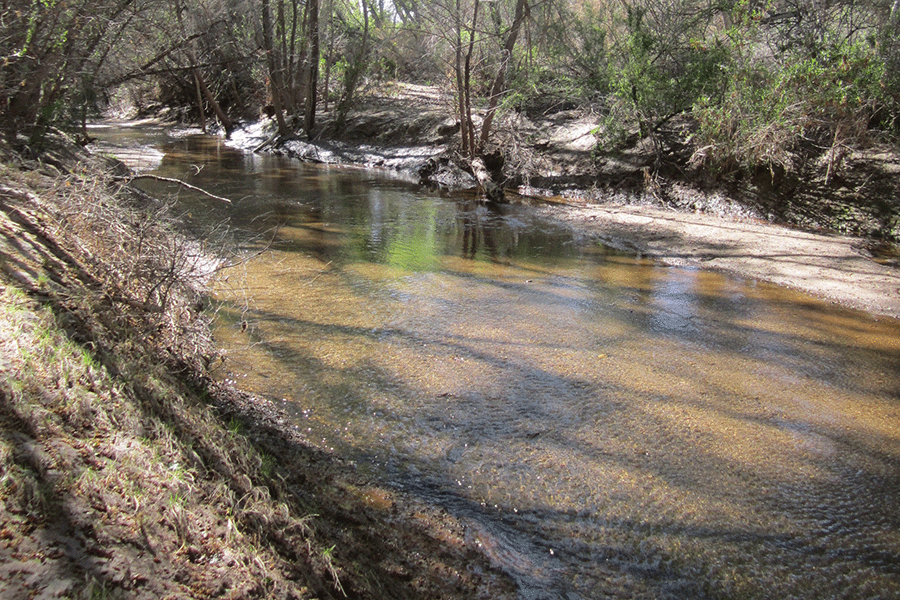 San Pedro River Flow Restoration