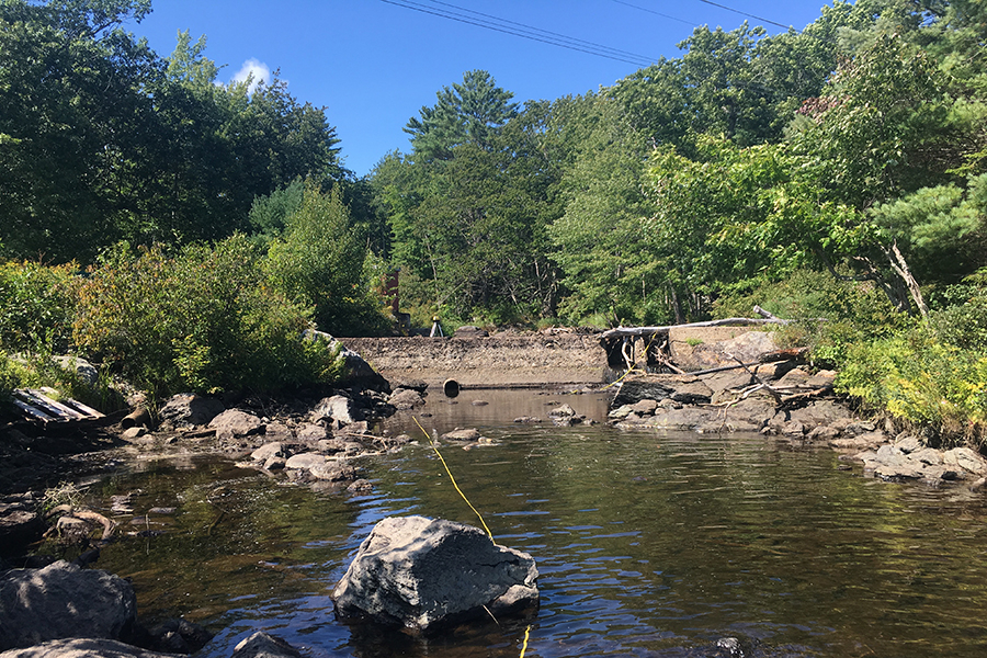 Branch Lake Stream Flow Restoration