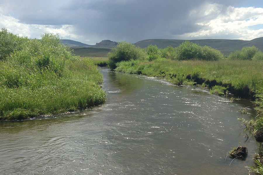 Tomichi Creek Flow Restoration