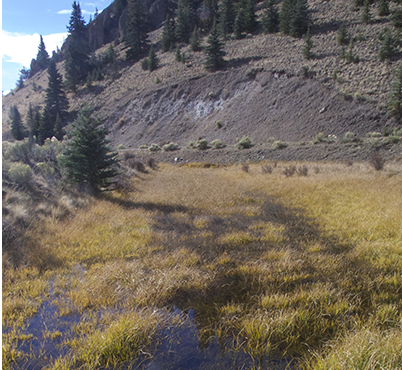 Comanche Creek Restoration of Natural Hydrology