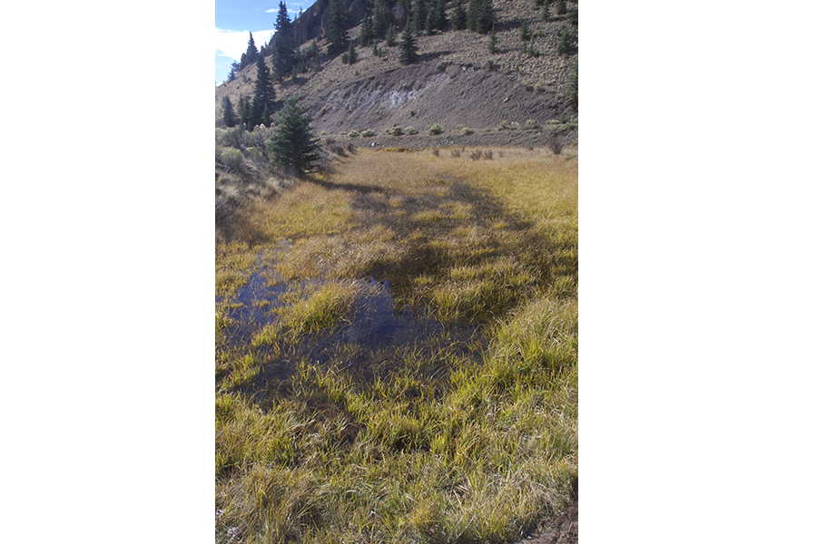 Comanche Creek Restoration of Natural Hydrology