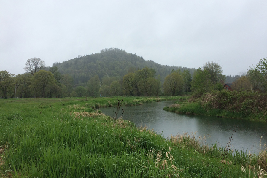 Gorrie Creek Water Quality Improvement