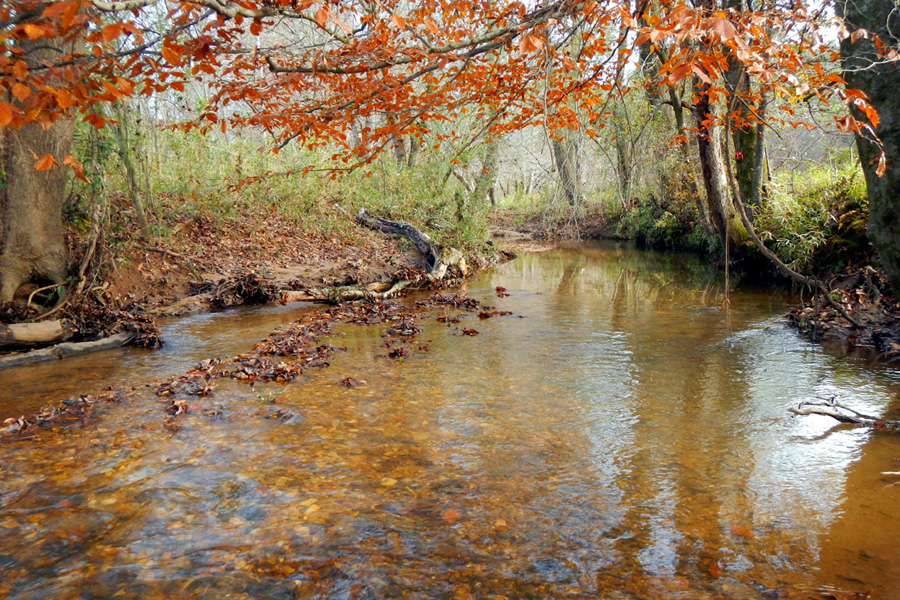 Hillabahatchee Creek Basin Water Quality Restoration