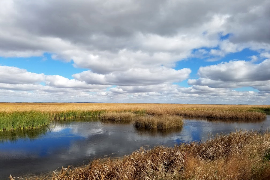 Cheyenne Bottoms Habitat Restoration – Business for Water Stewardship
