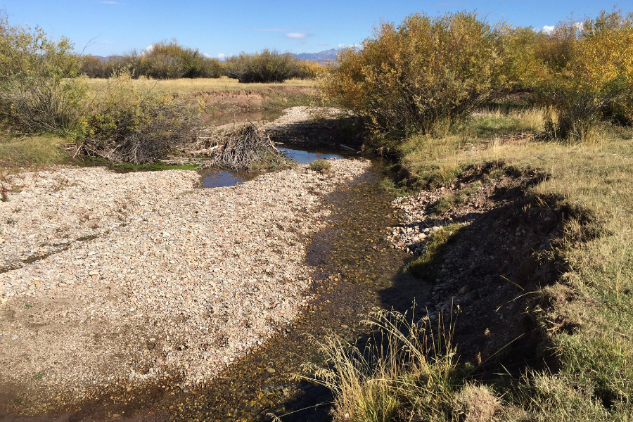 Lower Swift Creek Flow Restoration