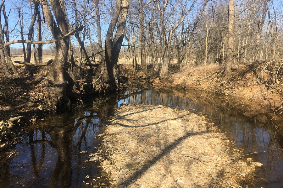 Clear Creek Habitat Restoration