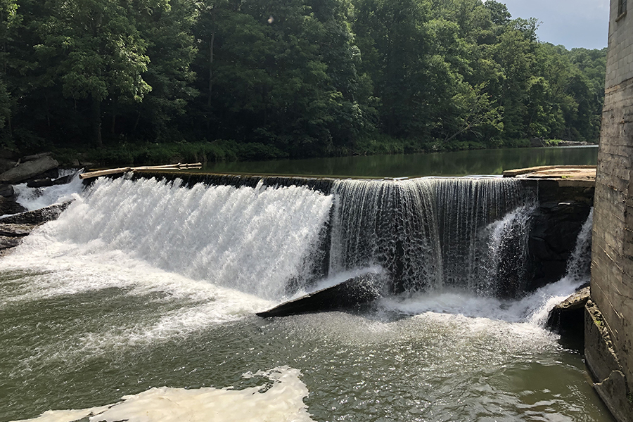 Ward Mill Dam Removal Project