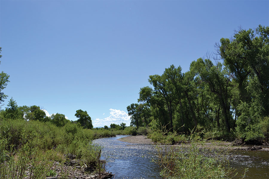 Conejos River Infrastructure & Habitat Restoration