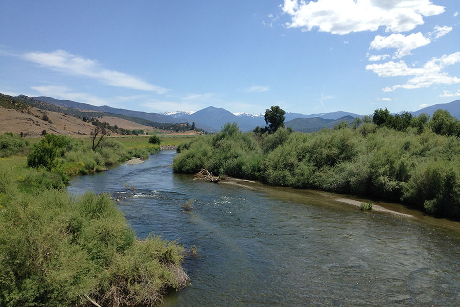 Scott River Flow Restoration