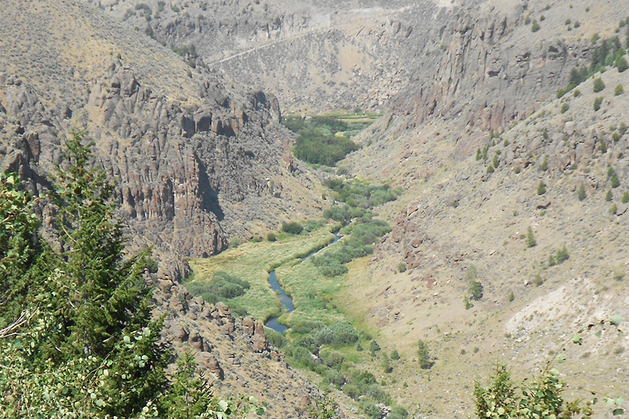 Canyon Creek Flow Restoration