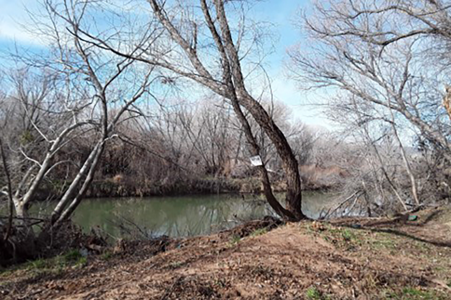 Verde River Habitat Restoration