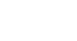 BWS Logo white on transparent background